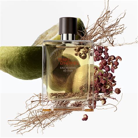 thierry hermes cologne|hermes terre d parfum.